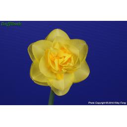 099df0e4106a7f3691c3d73ab8a501bb.jpg