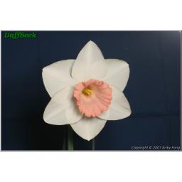c85bd7a63b99e5a3d0ae270fdf65878b.jpg