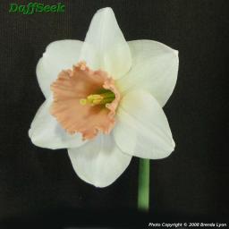 b197157da0ab1bea6877e6b2d0dfcb81.jpg
