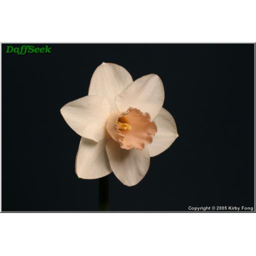 Korora Bay  - Half Kilo Bag