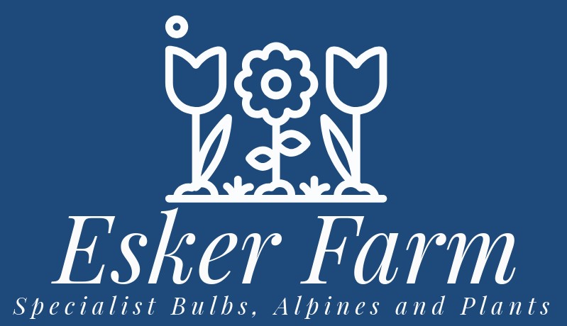 Esker Farm