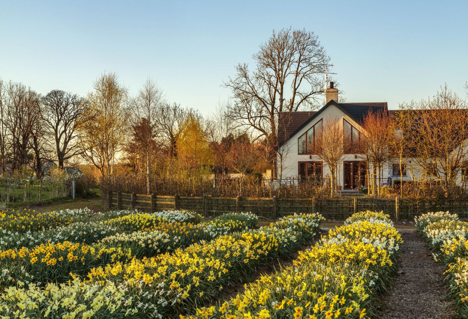 house and fieldreduced.jpg