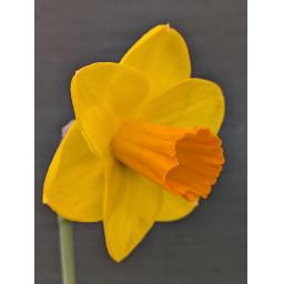 PXL_20260425_141741748.jpg
