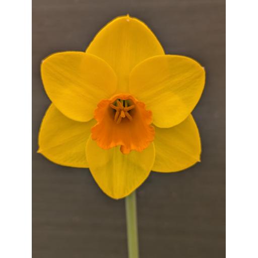 PXL_20260425_141725944.jpg