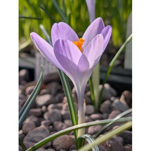 PXL_20260302_095424883.jpg